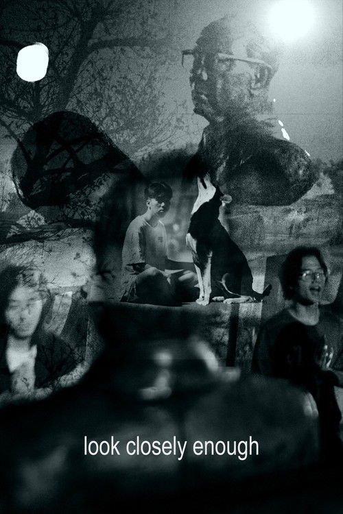 look closely enough (2025) poster