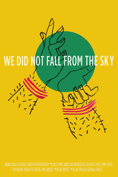 We Did Not Fall from the Sky (2018) poster