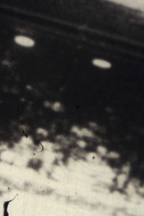 Malogro (2019) poster