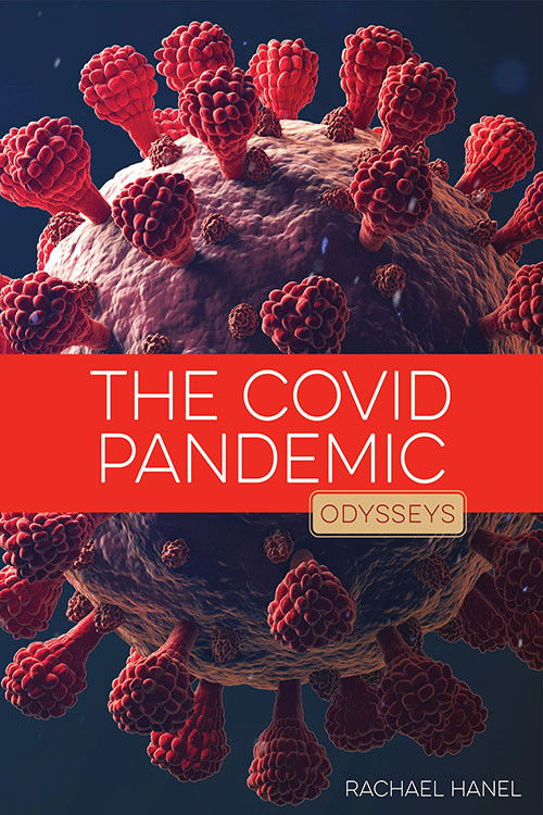 The Coronavirus Epidemic (2020) poster