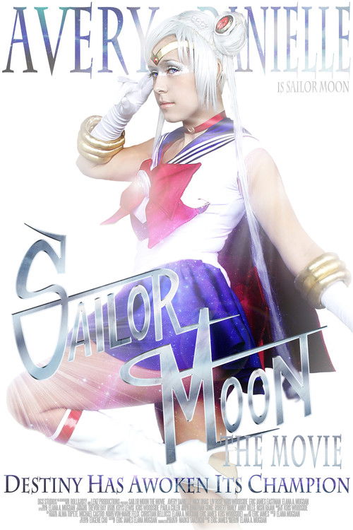 Sailor Moon the Movie (2011) poster