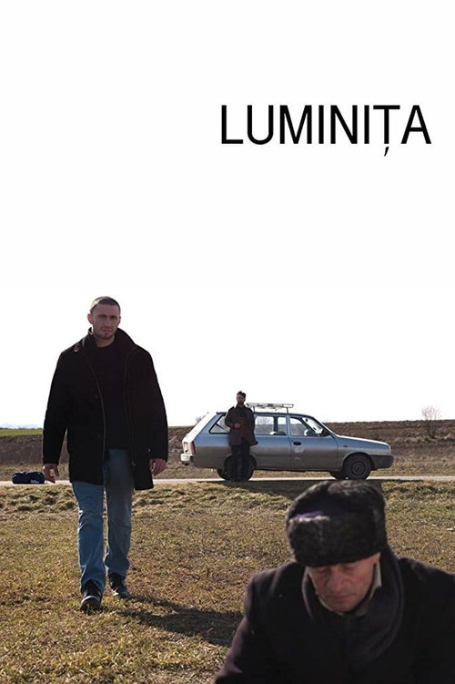 Luminita (2013) poster
