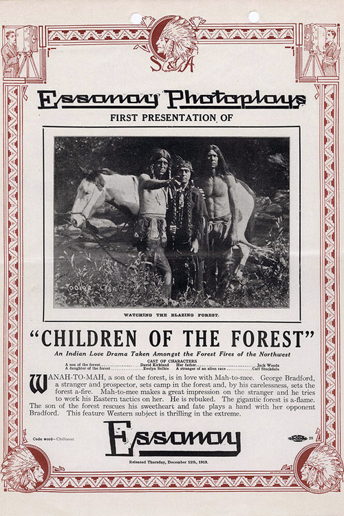Children of the Forest (1913) poster