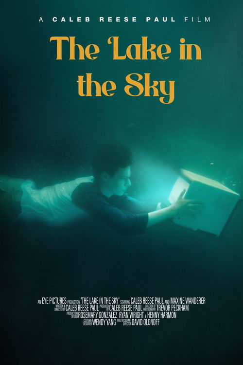 The Lake in the Sky (2024) poster