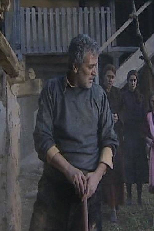 Babai im (2013) poster