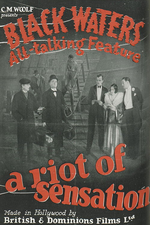 Black Waters (1929) poster