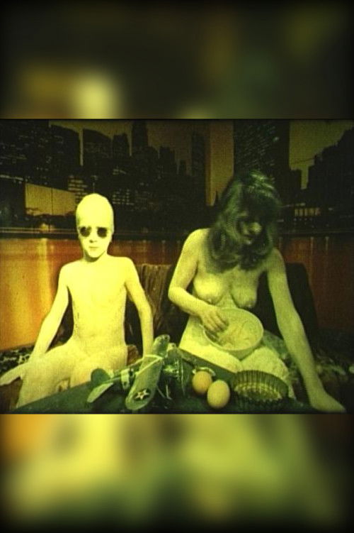 How to Make a New York Cake (1978) poster