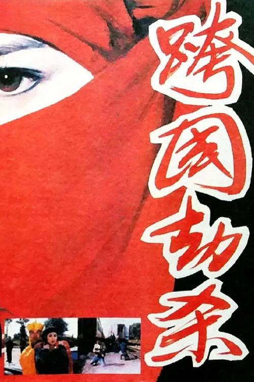 Transnational Plunder (1995) poster