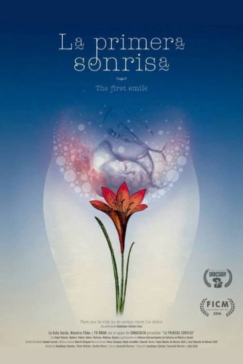 The First Smile (2014) poster