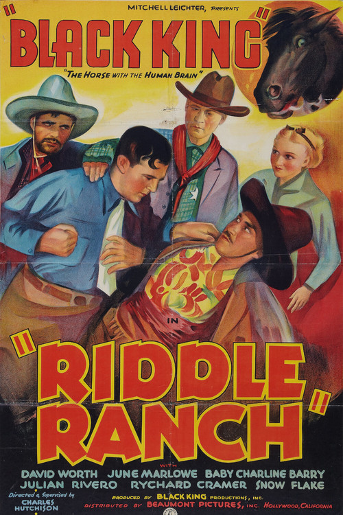 Riddle Ranch (1935) poster