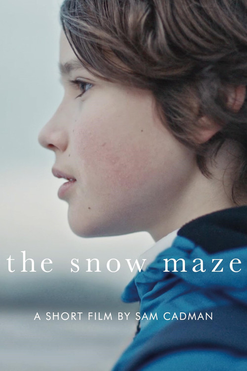 The Snow Maze (2020) poster