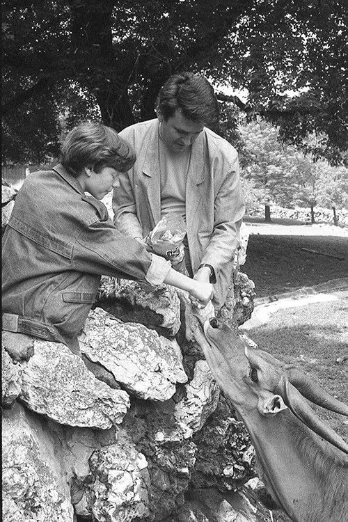 Sunday 9 to 5 (1989) poster