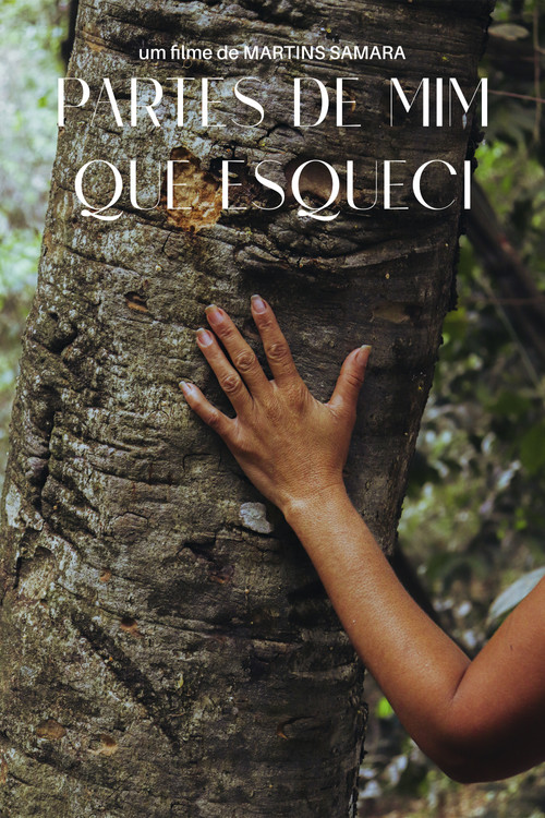 Partes de Mim que Esqueci (2025) poster