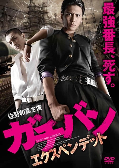 ガチバン　エクスペンデッド (2013) poster