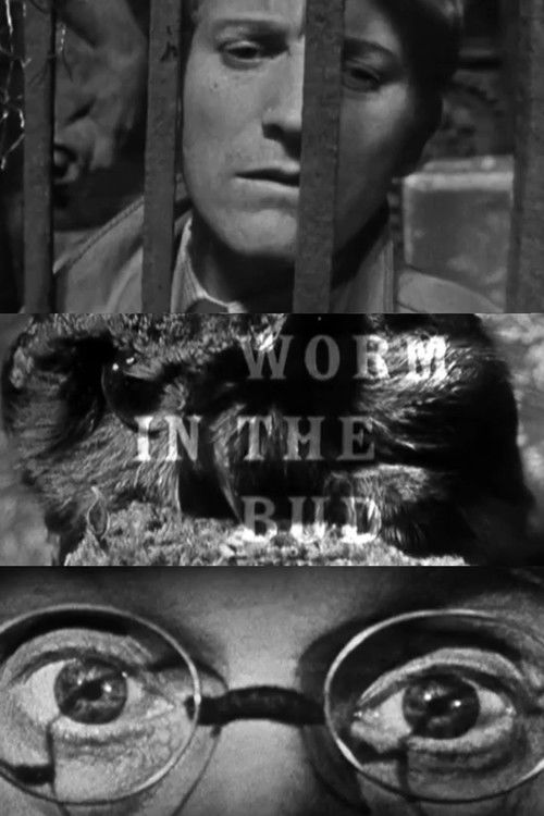 Worm in the Bud (1959) poster
