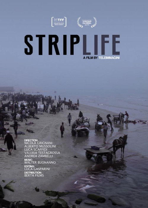 Striplife (2014) poster