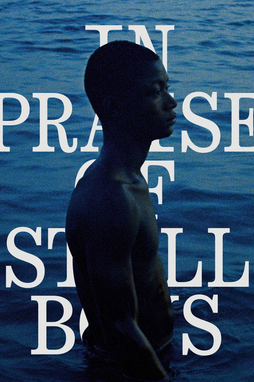 In Praise of Still Boys (2020) poster