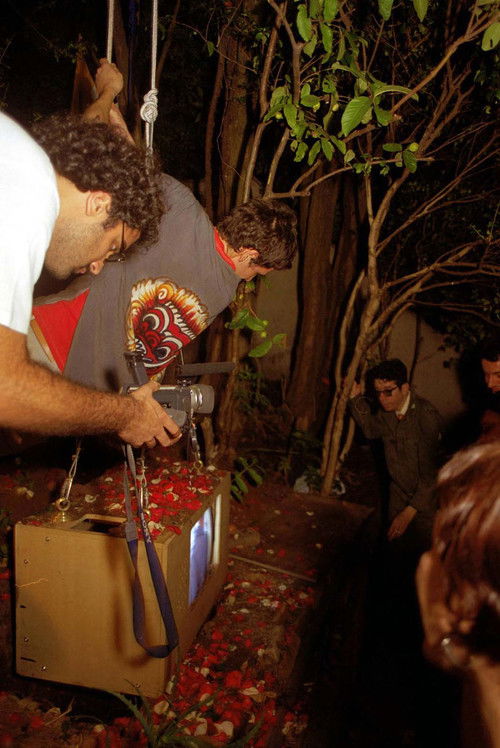 Encomenda ao Ganso (2002) poster