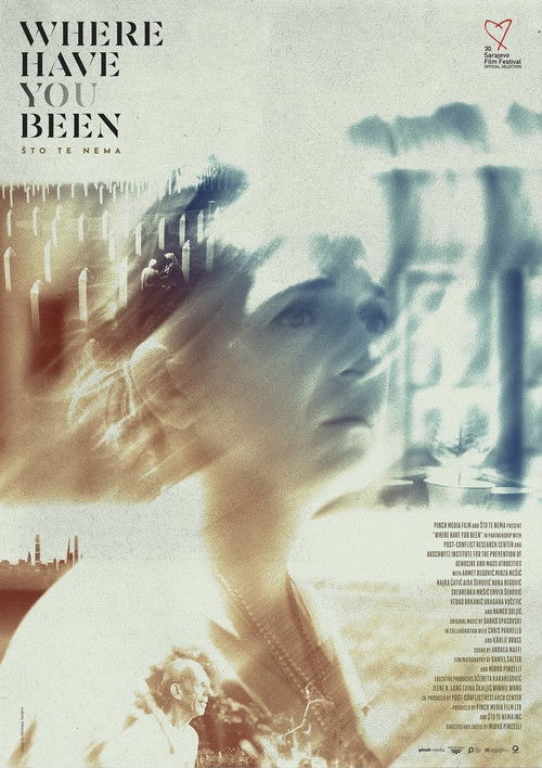 Where Have You Been (2024) poster