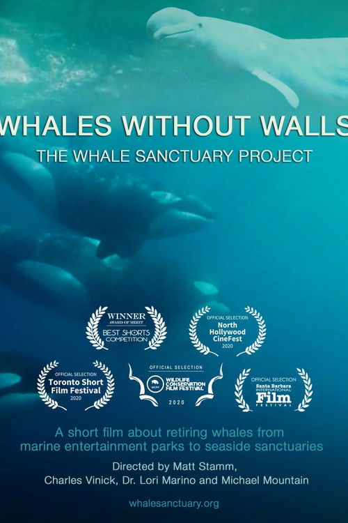 Whales Without Walls (2020) poster