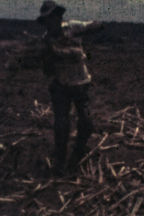 Bangüê (1978) poster