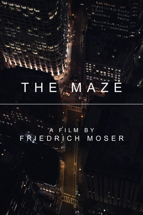 The Maze (2017) poster