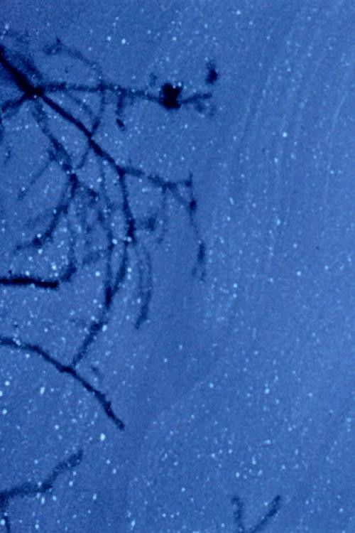 Reflections (1958) poster