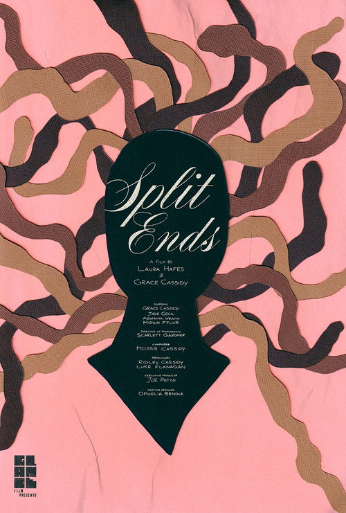Split Ends poster