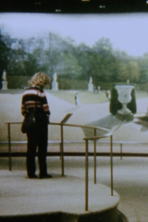 The Odyssey of Panoramas (1984) poster