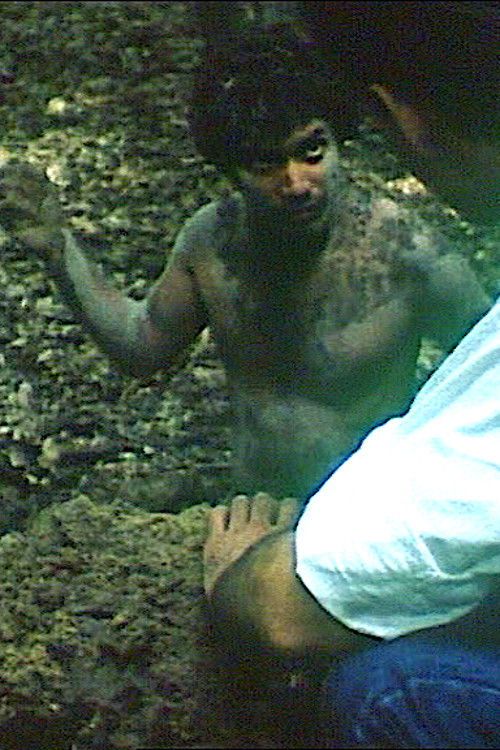 Concerto pour Aloual (1982) poster