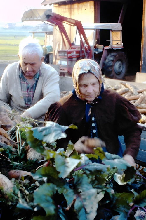 Drei Bauern unter einem Hut (1981) poster
