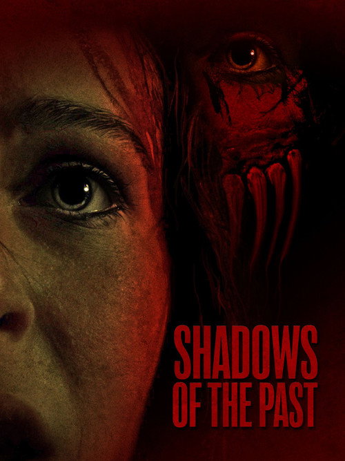 Shadows Of The Past (2025) poster