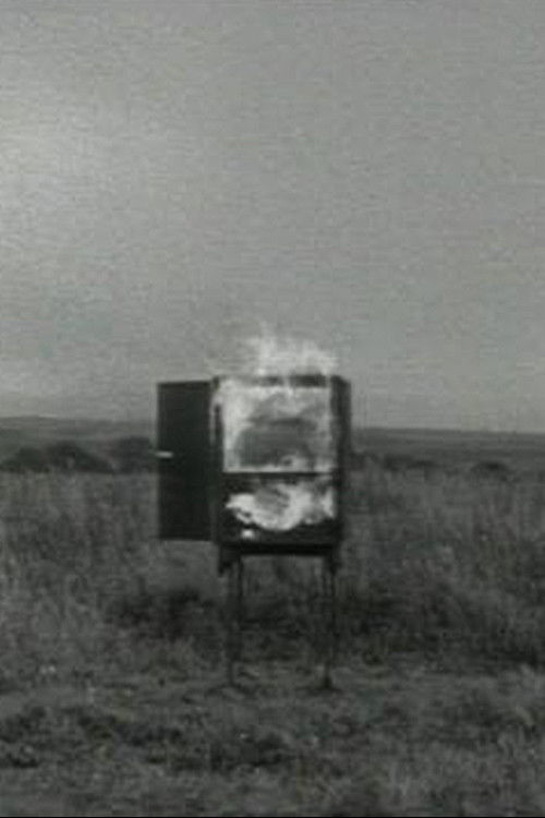 TV Interruptions: Burning TV (1971) poster