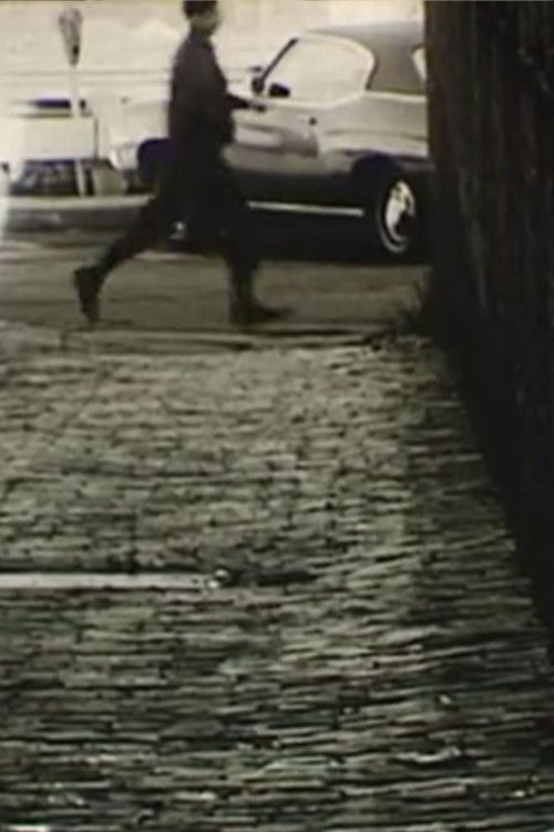 Spider 71-50 (1973) poster