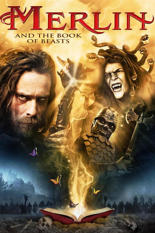 Merlin Camelot’un İzinde (2009) poster