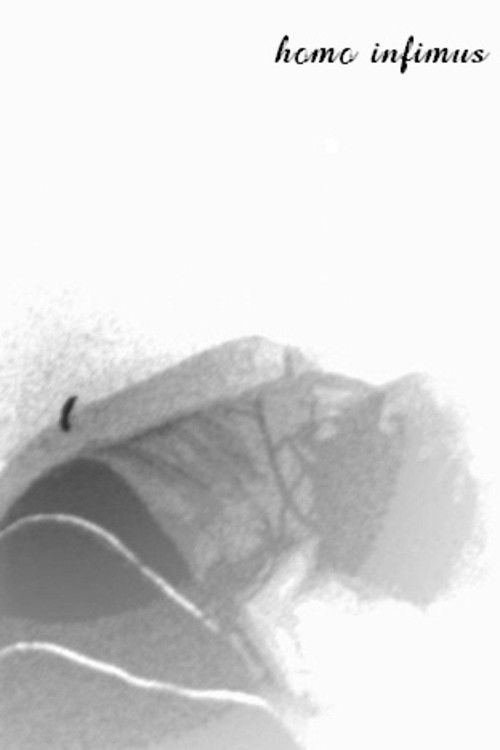 Homo Infimus (2008) poster