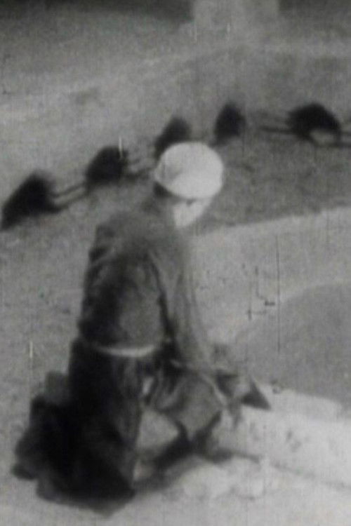 از اصفهان تا ابرقو (1970) poster