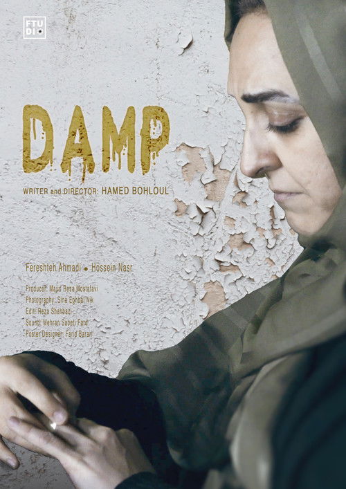 Damp (2024) poster