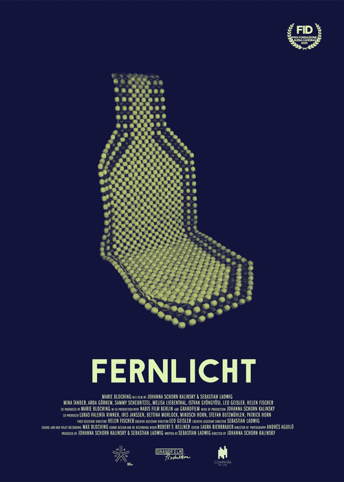 Fernlicht (2025) poster
