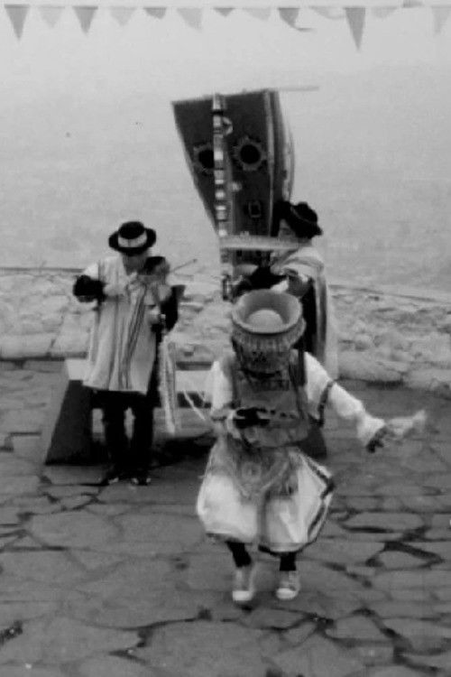 Warmi Danzaq (2025) poster