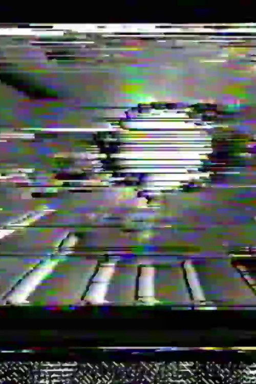 Tiny Bird (2013) poster