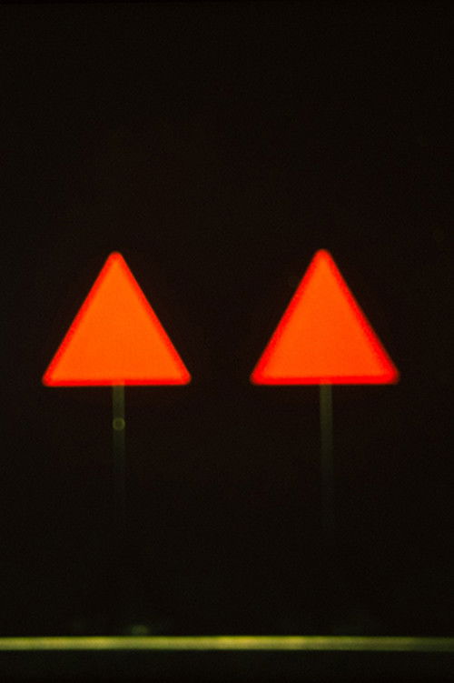 Triangles and Squares (2013) poster