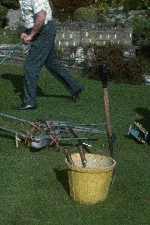 Displaced (2000) poster