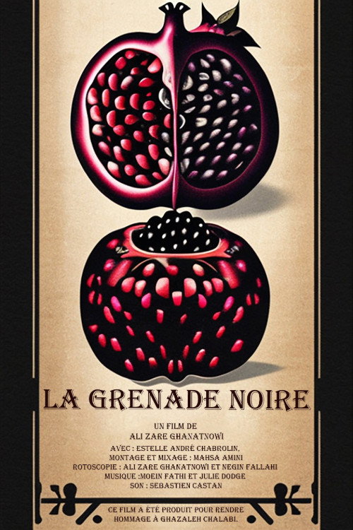 La grenade noire (2024) poster