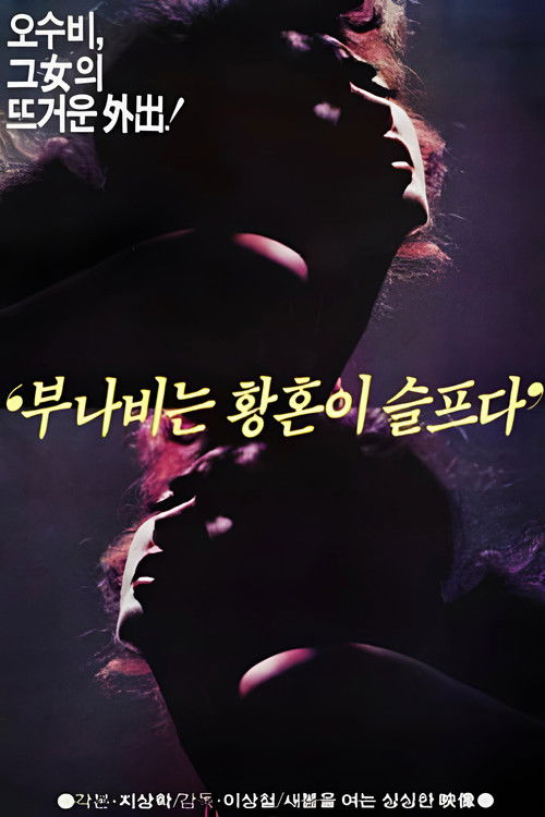 부나비는 황혼이 슬프다 (1985) poster
