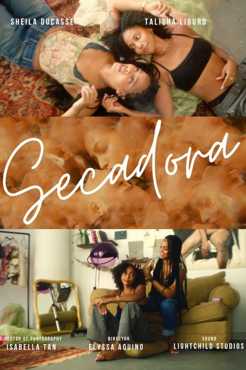 Secadora poster