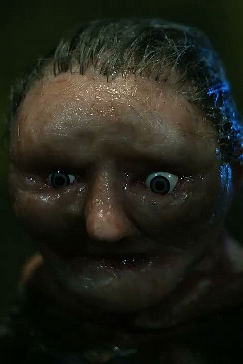 Incidental 38: Strange Action At A Distance (2024) poster