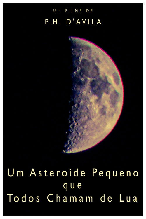 A Little Asteroid Called Moon (2020) poster