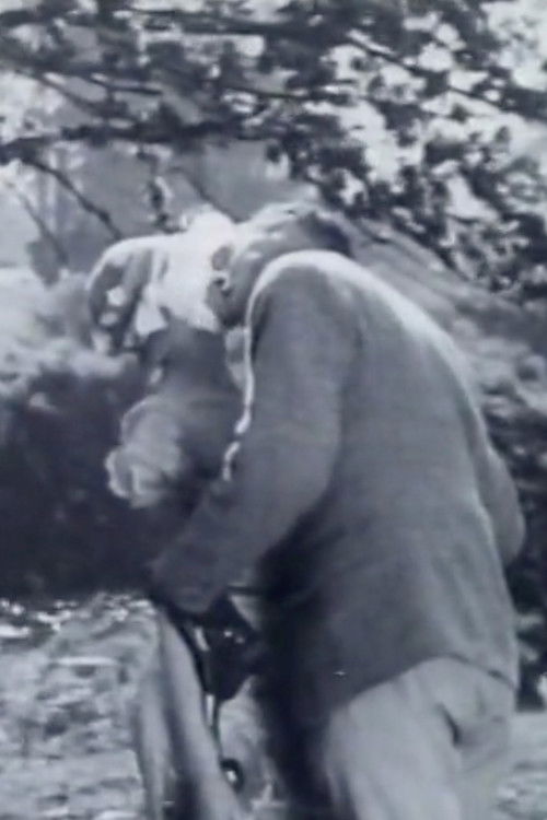 Hamilton Talks (1934) poster