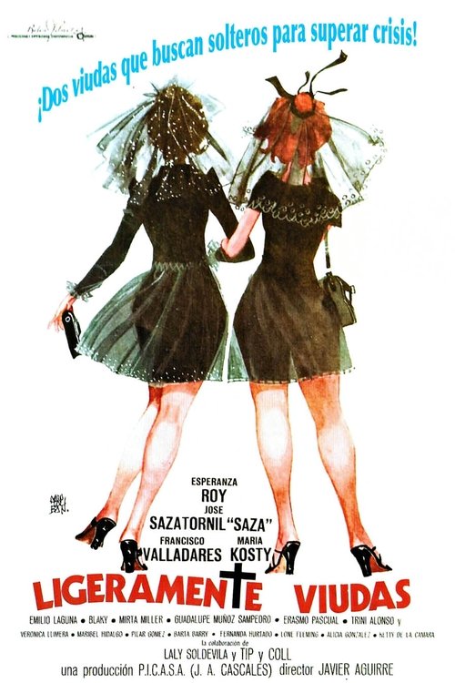 Ligeramente viudas (1975) poster